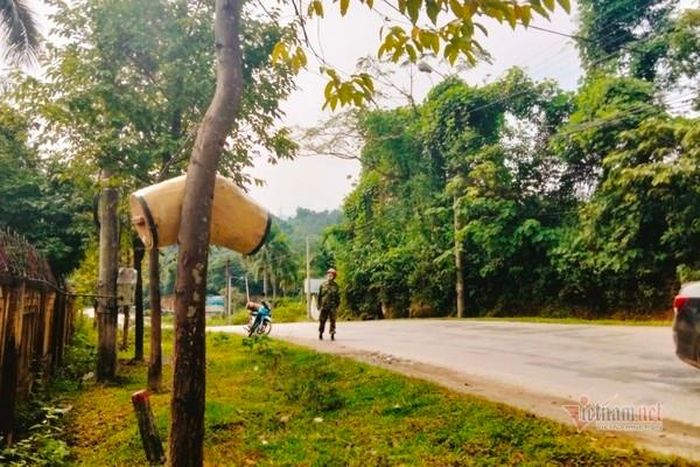 Tổ mồi có thể được treo bất kì nơi đâu tại khu vực thợ săn nhận định ong sẽ về.