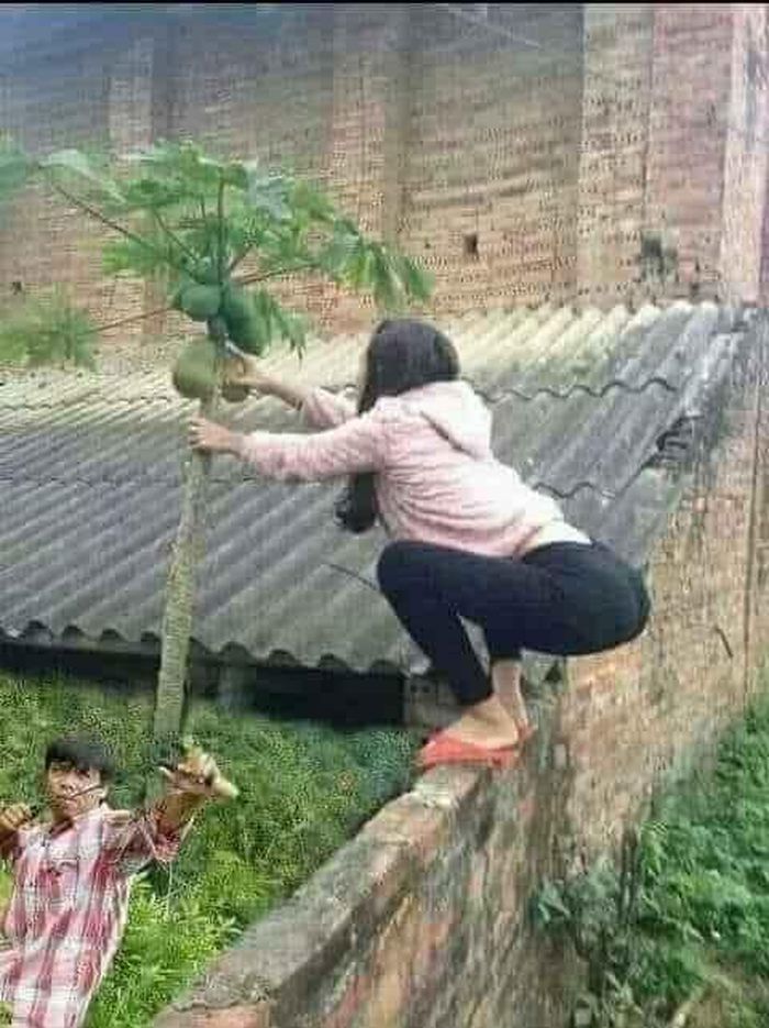 Theo đó, nhiều người cho rằng, hành động này của cô gái là “không hay ho gì”. Dù giá trị của 2 quả đu đủ không lớn lao nhưng việc quay video ăn trộm đăng lên mạng như cổ xúy cho hành động sai trái này.