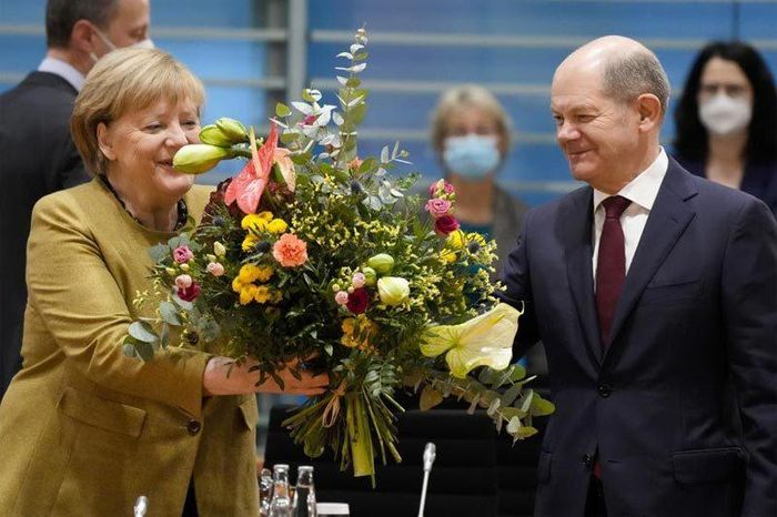 Ông Scholz tặng hoa cho bà Merkel (trái) trong cuộc họp nội các ngày 24/11. Ảnh: Reuters