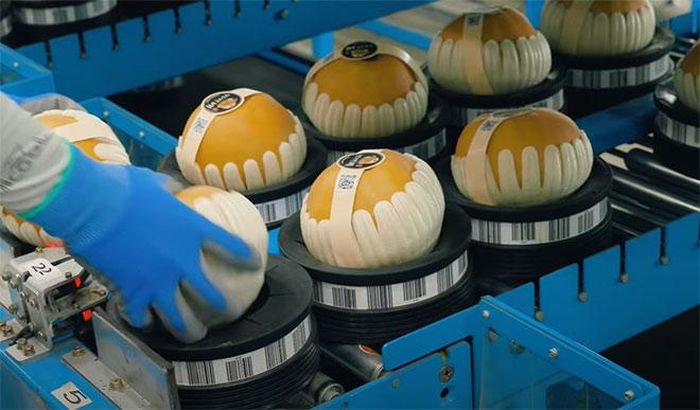 Để phân biệt lê Hàn Quốc chính gốc, người tiêu dùng hoàn toàn có thể kiểm tra 2 loại tem đặc trưng của nông sản tươi Hàn Quốc xuất khẩu, đó là tem K-pear và tem Hologram được đính kèm cẩn thận trên mỗi trái lê Hàn Quốc, QR code dẫn tới website chính thống của Hàn Quốc để kiểm tra sản phẩm chính gốc.