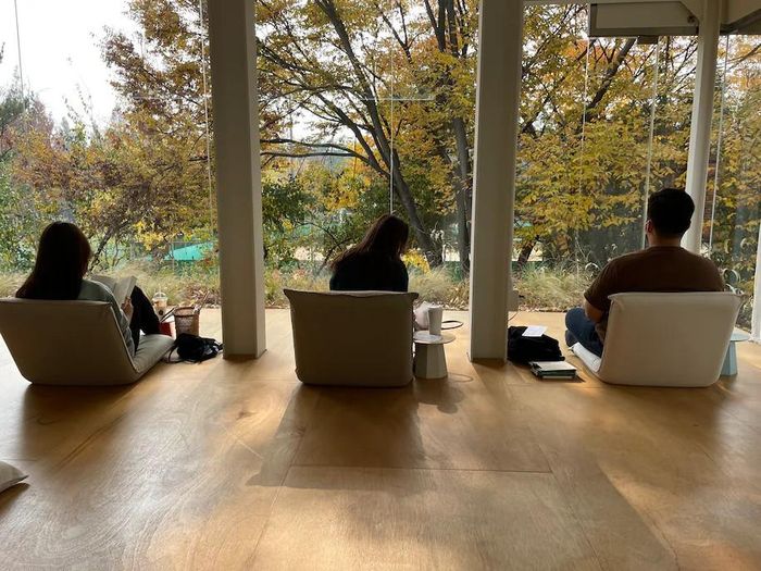  Khách hàng có thể ngồi yên một mình trong không gian yên tĩnh ở các quán trà như Seoul Forest. Ảnh: Michelle Ye Hee Lee/The Washington Post. 