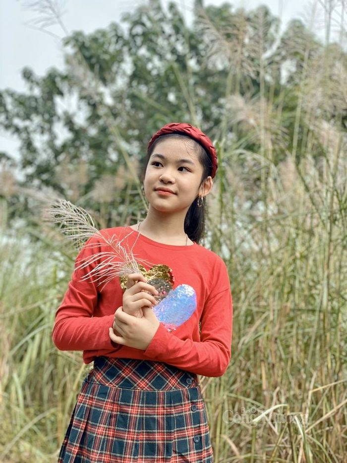 Mê mẩn trước dáng vẻ mộc mạc, mong manh của loài hoa này