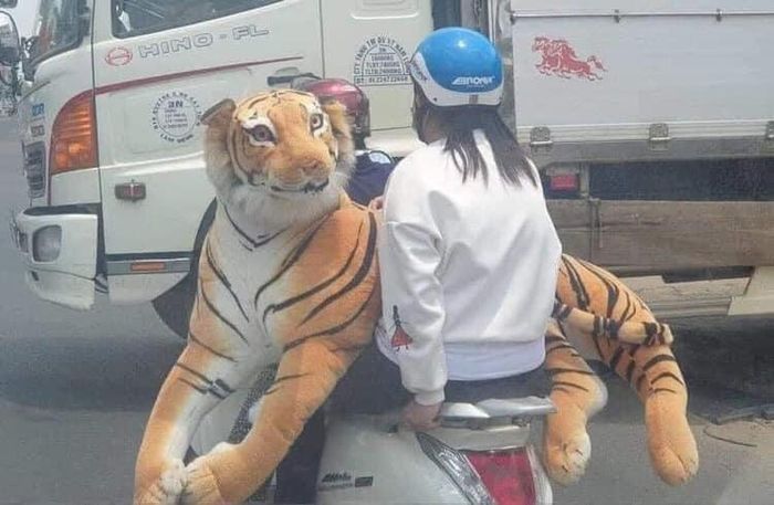 Ra đường, nhìn cảnh này rụng tim luôn.