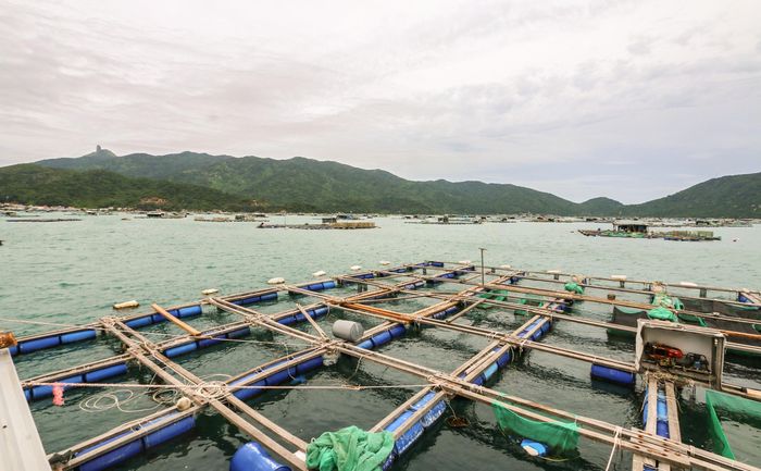 Nhiều địa phương đang gặp khó khăn khi quản lý các hộ nuôi tôm ngoài quy hoạch. Ảnh: An Bình.
