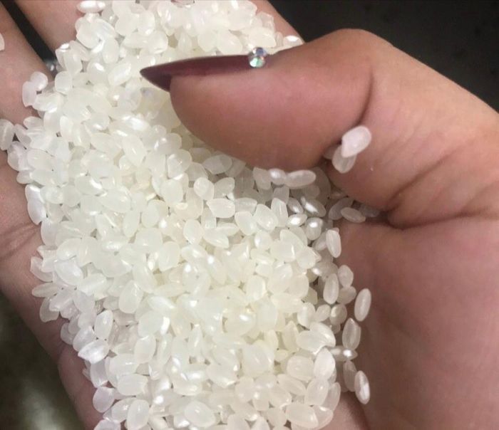 Như "ngọc càng mài càng sáng", sợi mỳ chũ cũng phải trải qua một quy trình khắt khe cùng đôi bàn tay khéo léo của người thợ làm mỳ. Mỳ chũ kén gạo. Ngoài gạo Bao Thai thơm ngon được cấy trên vùng đồi Lục Ngạn thì chỉ có những hạt gạo trắng trong, căng tròn của quê lúa Thái Bình mới được dùng làm nguyên liệu làm mỳ. 