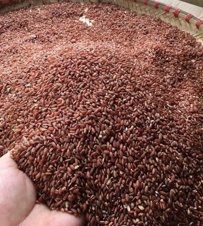 Vài năm trở lại đây, thứ gạo Lứt đỏ cấy trên vùng đồi Điện Biên cũng là nguyên liệu quan trọng, cho ra sản phẩm mỳ gạo Lứt. Thứ mỳ này hợp với người muốn giảm béo hay bị tiểu đường ăn kiêng. Tuy khó làm hơn mỳ trắng thông thường, nhưng với đôi bàn tay khéo léo, sự kiên trì và nhẫn nại của người thợ, sản phẩm mỳ gạo Lứt hoàn thiện, có chỗ đứng vững chắc trên thị trường.