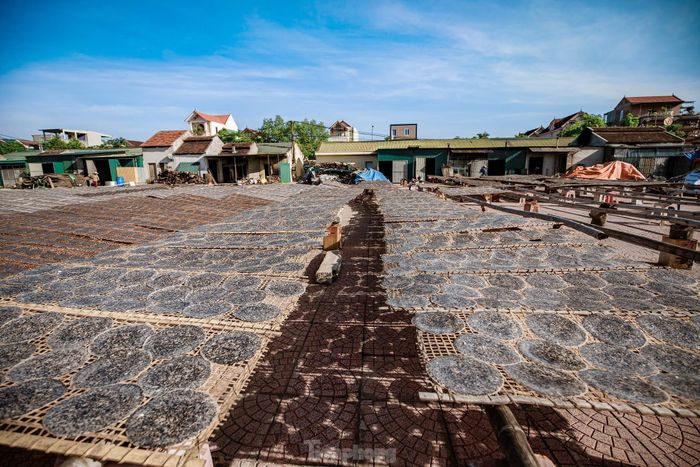Bà Nguyễn Thị Thu Hiền, Chủ tịch Hội Nông dân thị trấn Đô Lương cho biết, bánh đa Đô Lương đã được cấp giấy chứng nhận sở hữu trí tuệ. Năm 2020, sản phẩm bánh đa của làng được bình chọn là sản phẩm nông nghiệp, nông thôn tiêu biểu cấp huyện và được công nhận là sản phẩm đạt OCOP 3 sao của tỉnh Nghệ An. Đó là niềm tự hào, góp phần lưu giữ “vị quê”, gìn giữ nét văn hóa ẩm thực truyền thống.