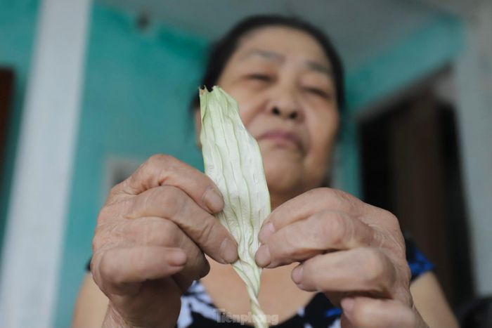 Lá nón được người dân làm phẳng thủ công. 