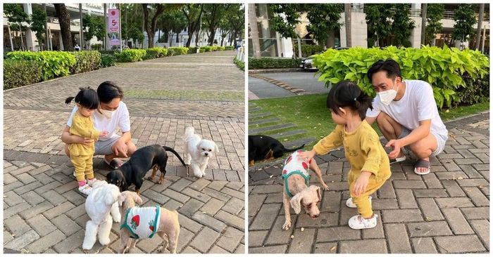 Biết con gái có niềm đam mê với cún cưng, cả hai đã cho con thoải mái làm quen với những “bạn mới”. Cô bé không tỏ ra lo sợ, ngần ngại mà thoải mái thể hiện tình cảm cùng loạt cử chỉ ngọt ngào đến những chú cún.