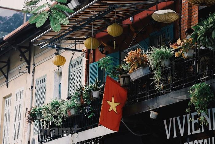  Bất chợt văng vẳng ca từ và nốt nhạc da diết, lãng mạn từ ‘Nỗi nhớ mùa Đông’ của cố nhạc sĩ Phú Quang, như vô tình chạm vào nỗi khắc khoải của mùa Đông mà người Hà Nội dường như ai cũng có. (Ảnh: Hoài Nam/Vietnam+) 