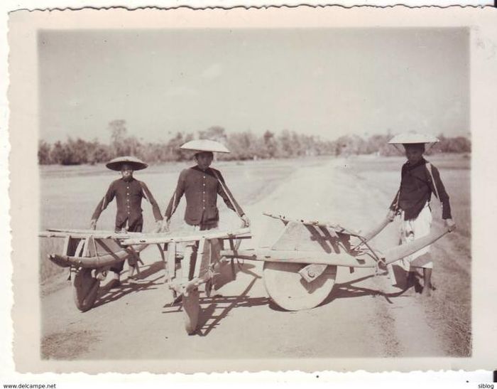 Những chiếc xe của lính hậu cần chăng?