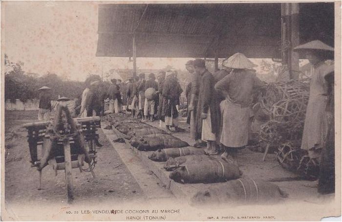 Chợ Đồng Xuân, gian bán lợn