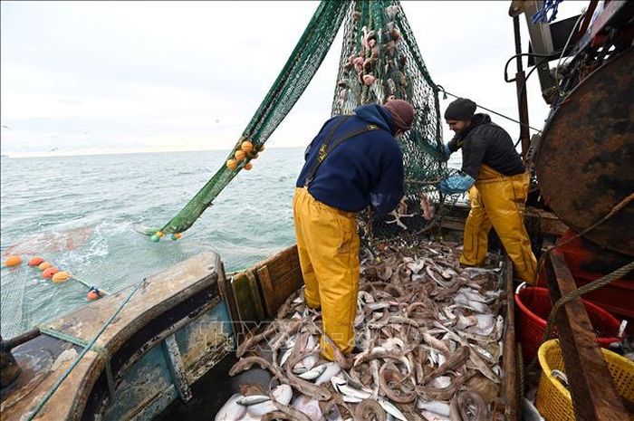 Ngư dân đánh cá ở ngoài khơi bờ biển phía Đông Nam nước Anh. Ảnh: AFP/TTXVN