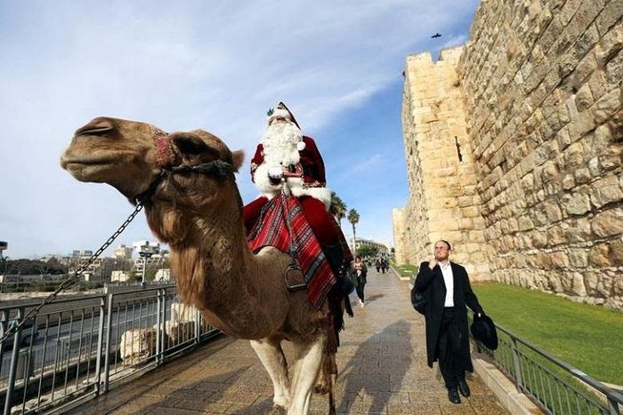 Một ông già Noel cưỡi lạc đà ở Cổng Jaffa thuộc thành phố Jerusalem. Ảnh: Reuters
