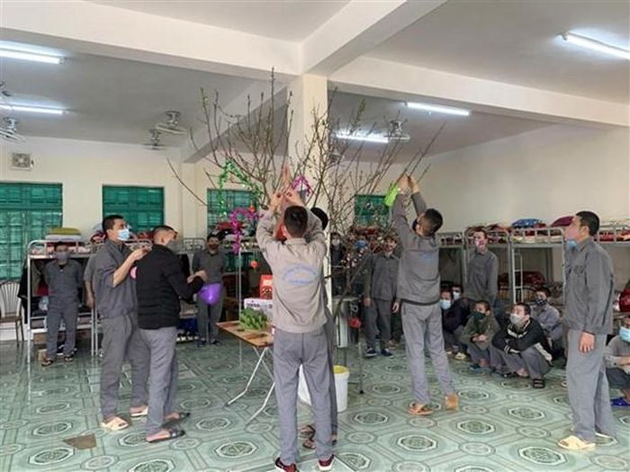 Các học viên tại Cơ sở điều trị nghiện ma túy trang trí cành đào chuẩn bị đón Tết. (Ảnh minh họa. Nguồn: TTXVN)