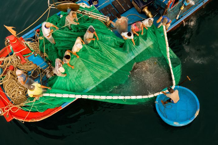 Thu lưới cá lên ghe