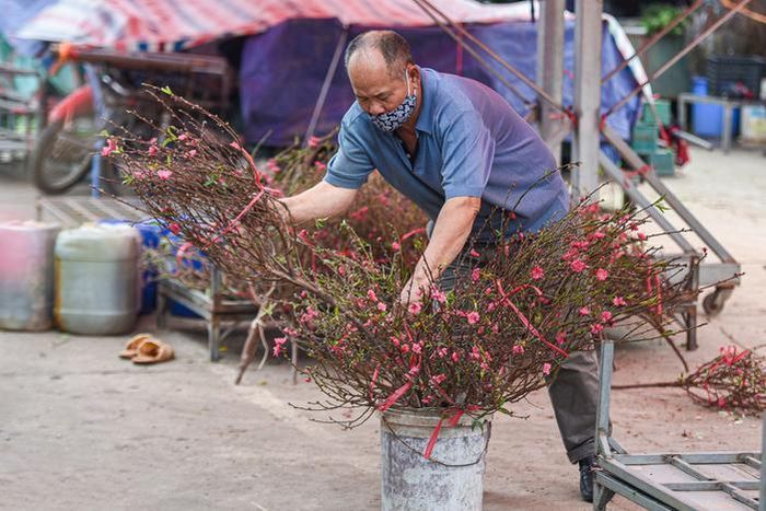 Mặc dù lượng khách còn hạn chế nhưng một số tiểu thương vẫn cố gắng bày bán đào sớm