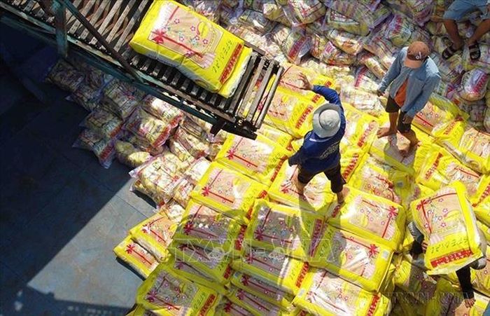Đại dịch COVID-19 khiến thị trường gạo xuất khẩu nhiều biến động, cùng với diễn biến thời tiết không hoàn toàn thuận lợi, nhưng 2020 và 2021 lại là năm xuất khẩu tốt của ngành lúa gạo, dù khối lượng giảm nhưng giá trị mang về tăng đến 2 chữ số. Có được kết quả này là nhờ vào cơ cấu sản phẩm gạo xuất khẩu. Trong ảnh: Vận chuyển gạo xuất khẩu tại nhà máy chế biến Tân Thạnh thuộc Tổng công ty Lương thực miền Nam – CTCP (Vinafood 2). Ảnh: Vũ Sinh/TTXVN