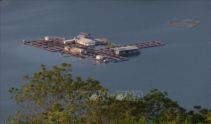 Những bè nuôi cá lồng nằm rải rác trên vùng hồ Hòa Bình mang lại những điểm xuyến cho không gian vốn đã đẹp lại càng thêm phần thơ mộng.