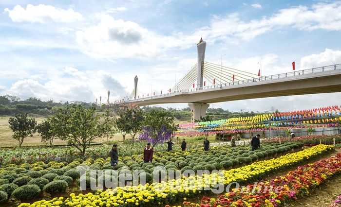 Đảo hoa cầu Tình Húc là một nơi chụp ảnh lý tưởng.