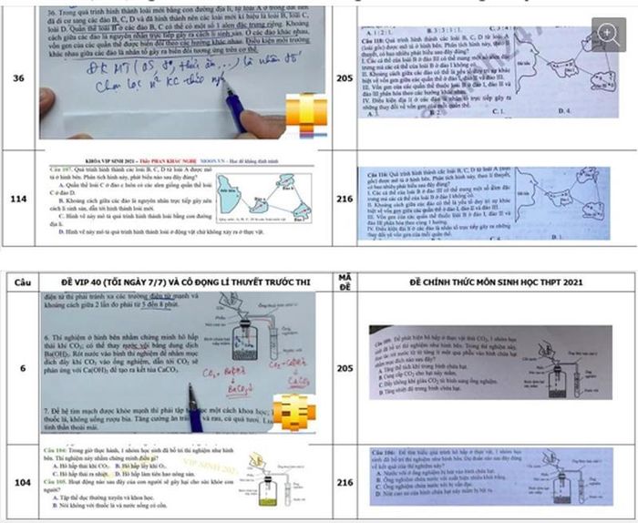Một vài sự “trùng hợp” giữa nội dung ôn luyện của thầy Nghệ và đề thi chính thức môn Sinh học.