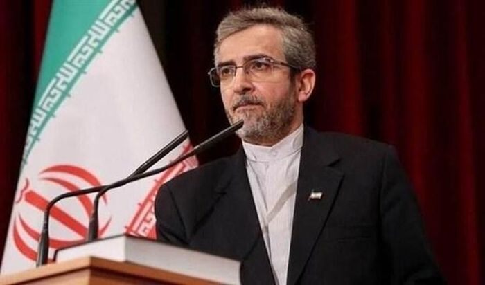 Nhà đàm phán hạt nhân hàng đầu của Iran Ali Bagheri Kani. (Ảnh: IRNA/TTXVN)