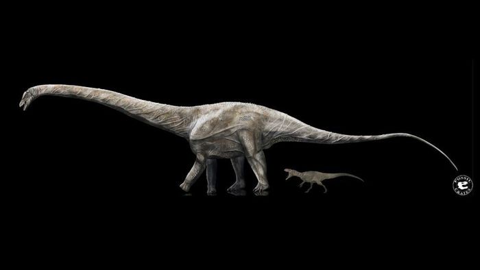 Con khủng long dài nhất được ghi nhận là Supersaurus được cho là dài hơn 39 mét và thậm chí có thể dài tới 42 mét, theo một nghiên cứu được công bố năm nay. Những bộ xương mới được khai quật và phân tích cho thấy loài khủng long này siêu phàm như thế nào.