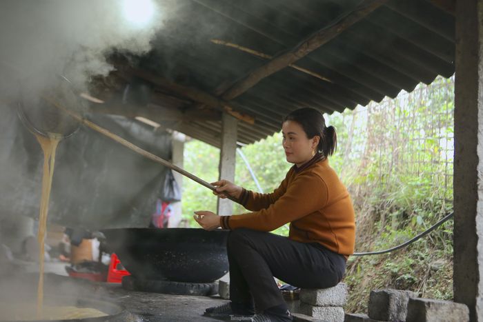Gia đình chị Lê Thị Phương có thâm niên trên 10 năm gắn bó với nghề làm mật mía. Từ tháng 12 (ÂL) sau khi thu hoạch mía xong sẽ xuống giống. Đến 1 năm sau thì thu hoạch mía và nấu mật để phục vụ thị trường. Việc nấu mật cũng vất vả, thức khuya dậy sớm. Đợt này gia đình chị tập trung hết mọi người trong nhà hỗ trợ nấu mật, mỗi ngày nấu thành phẩm gần 2 tạ mật. Dự tính từ giờ đến Tết sẽ nấu được khoảng 15 tạ mật bán ra thị trường. 
