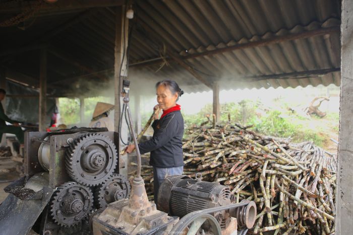  Trước đây người dân dùng sức trâu để ép mía, nhưng nay đã chuyển sang làm bằng máy nhằm tiết kiệm được thời gian, công sức. 