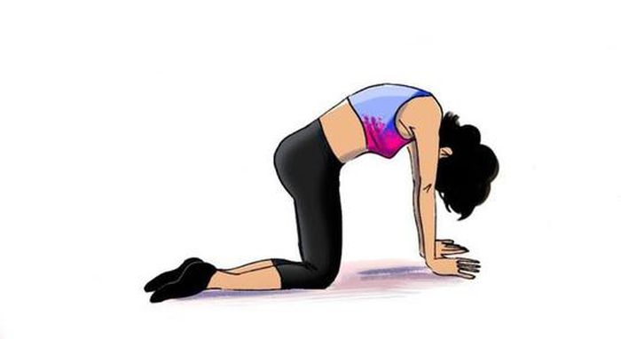 Tư thế con mèo giải phóng căng thẳng ở cột sống.