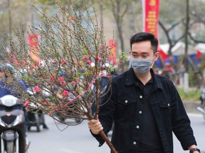 Người dân mua hoa đào chuẩn bị đón Tết Nguyên đán. Ảnh: Thanh Tùng - TTXVN