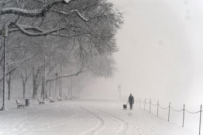 Một người dắt chó đi dạo khi tuyết rơi trên công viên quốc gia National Mall. (Ảnh: AP)