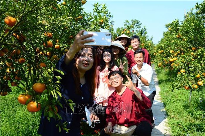 Nhiều bạn trẻ đến tham quan và lưu lại bức ảnh kỷ niệm tại Vườn quýt hồng Ba Liên (xã Long Hậu, huyện Lai Vung).