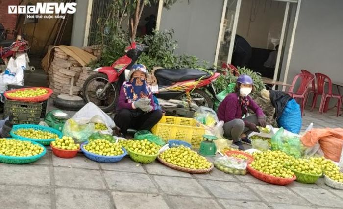 Ghi nhận của PV VTC News tại các chợ dân sinh tại Hải Phòng rất ít sạp bày bán giống táo này. Là khách hàng trung thành của táo Bàng La, nhưng năm nay, chị Phạm Thị Dung (quận Lê Chân, Hải Phòng) cũng chỉ tìm thấy 1 sạp bán táo ở chợ gần nhà với giá 35 nghìn đồng/kg.