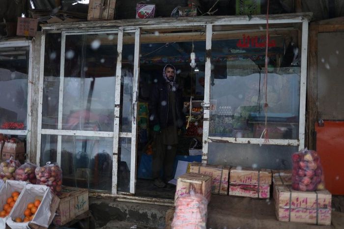 Najeeb Allah 42 tuổi, một chủ tiệm bán trái cây ở Bamiyan. Ảnh: Ali Khara / Reuters.