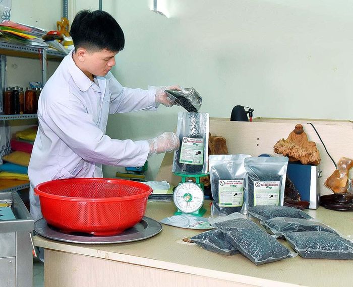 Sản phẩm đậu đen xanh lòng của HTX Hạc giấy từ thiện (huyện Chư Pưh) đã được công nhận OCOP 3 sao cấp tỉnh năm 2020. Ảnh: Đức Thụy 