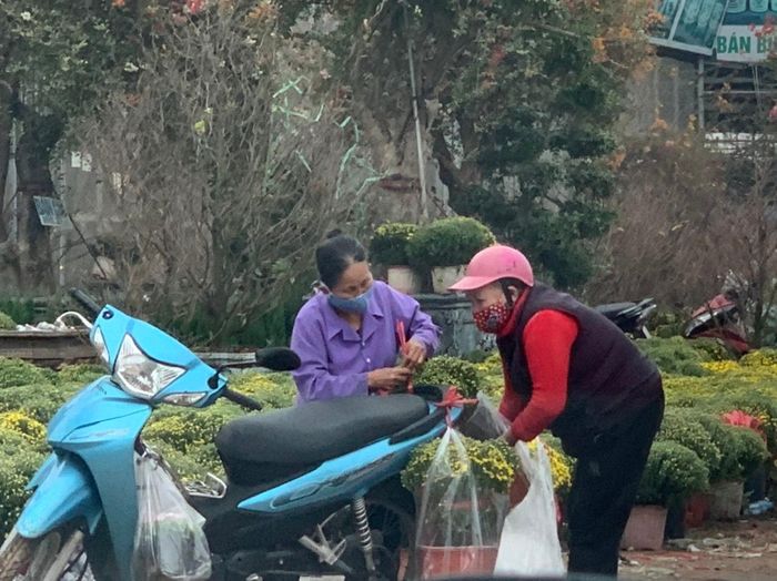 Hoa cúc vẫn được nhiều người lớn tuổi lựa chọn.