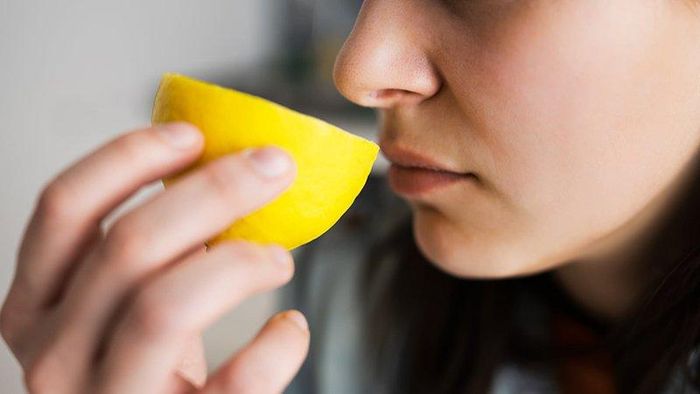 Dùng trí nhớ não bộ kết hợp với các mùi quen thuộc để giúp cơ thể học lại cách ngửi mùi. Ảnh: Ndmais.