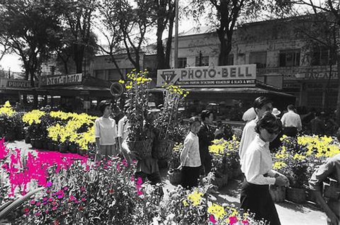 Chợ hoa Tết