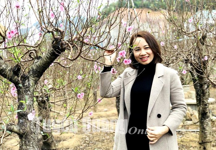Du khách đến chọn mua hoa đào và chụp ảnh lưu niệm tại vườn đào Nông Tiến.