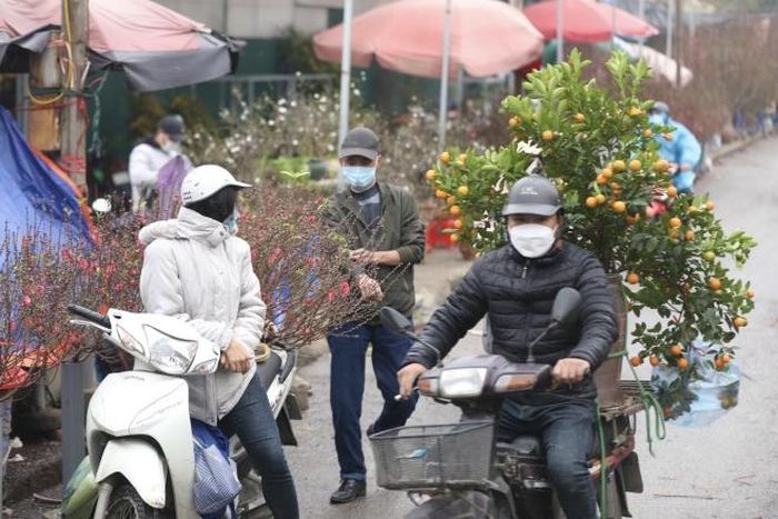 Người dân Thủ đô đến mua đào, quất tại chợ hoa Quảng Bá
