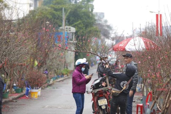 Người dân mua đào cành tại chợ hoa Quảng Bá
