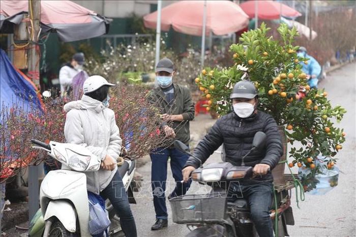 Người dân Thủ đô đến mua đào, quất tại chợ hoa Quảng Bá. Ảnh: Minh Quyết/TTXVN
