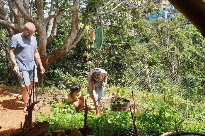  Vợ chồng chị Thủy trồng rau trong vườn để tự cung tự cấp thực phẩm sạch. 