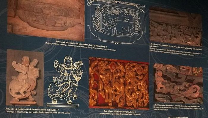 Hổ trên chạm khắc đình làng thế kỷ 16-18
