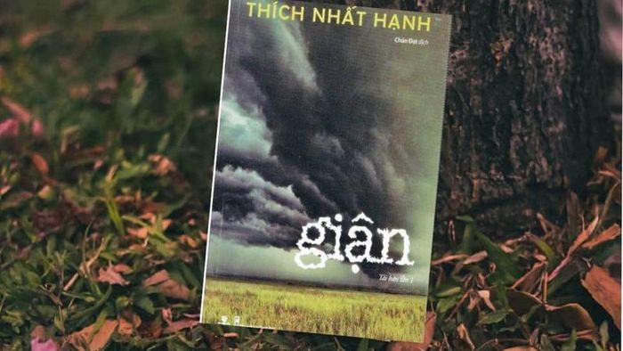 "Giận" - sự phản ứng cùng sự phẫn nộ không mang đến cho ta kết quả tốt đẹp nào.