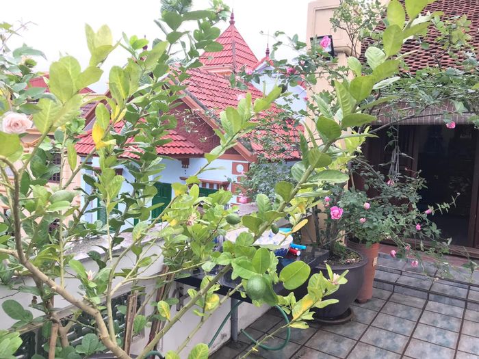 NSND Lê Khanh bảo ngày còn đi làm chị luôn ao ước có một căn nhà kiểu có nếp sinh hoạt thôn quê nhưng phải gần Hà Nội. Thế là vợ chồng chị đi tìm và cuối cùng ưng được căn nhà này, lại ở gần đình làng nên NSND Lê Khanh rất thích.