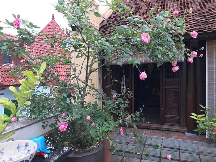 Nhưng NSND Lê Khanh chia sẻ cảm thấy sung sướng nhất là có thời gian hưởng thụ đời sống gia đình bên bố mẹ, chồng con và những người thân của mình.
