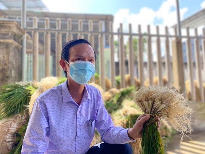 "Trồng kiệu là nghề truyền thống ở đây. Toàn xã có hơn 100 hộ trồng kiệu với diện tích trên 22ha. Kiệu ở vùng này thơm ngon, không nồng như những nơi khác nên rất được ưa chuộng”, ông Phạm Đình Dương - Phó Chủ tịch UBND xã Bình Long cho hay.