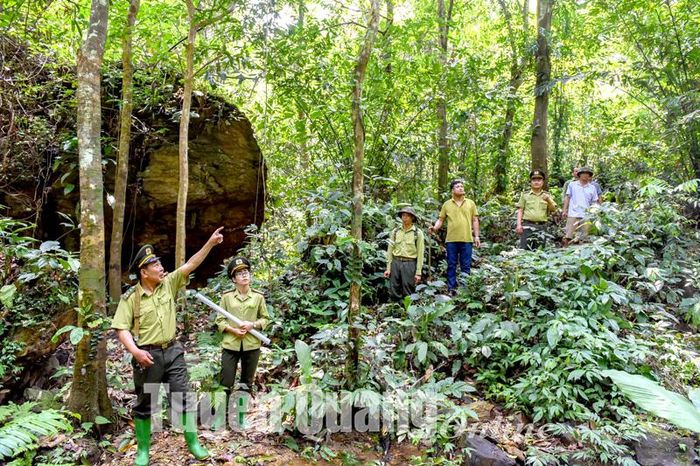 Người dân xã Phù Lưu (Hàm Yên) tham gia tuần tra, bảo vệ rừng cùng lực lượng Kiểm lâm địa bàn.